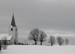 DSC_0251---Copy.jpg