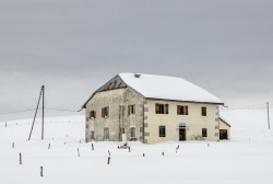 DSC_0274.jpg