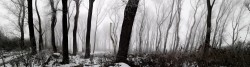 IMG_20211221_112043-2.jpg