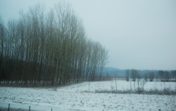 L1001978.jpg