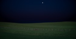 L10R0865.jpg